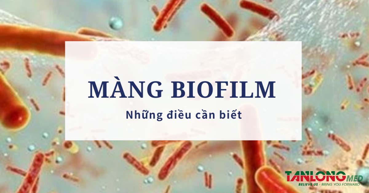 màng biofilm và những điều cần biết