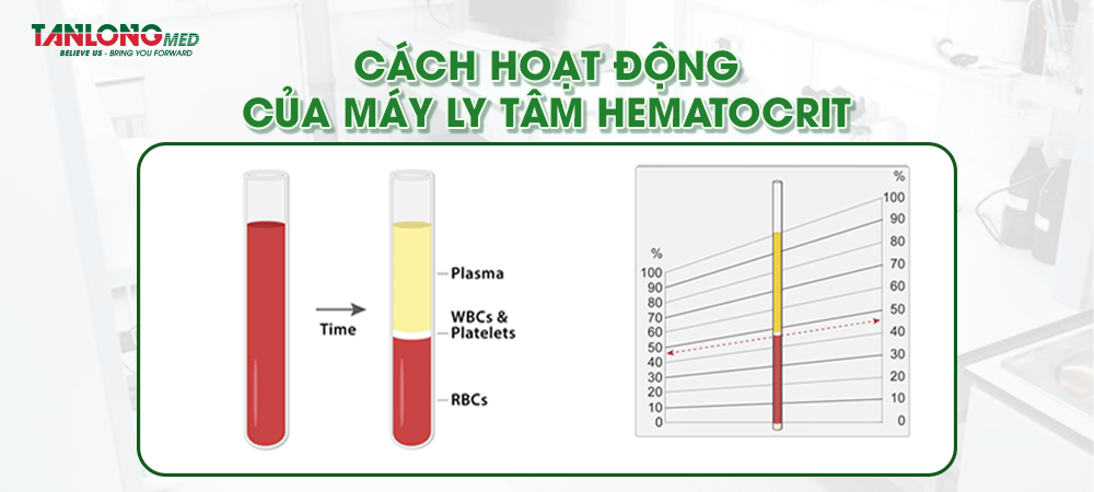 Cách hoạt động của máy ly tâm hematocrit tanlongmed
