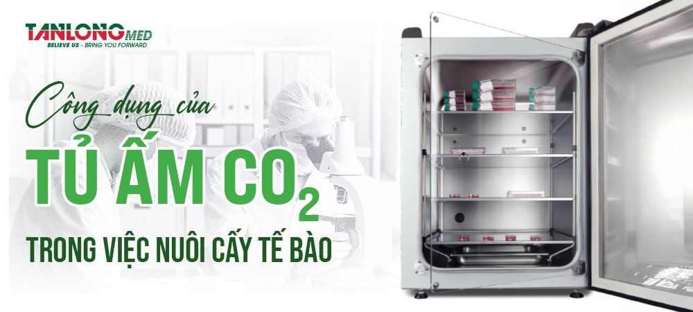 Công dụng của tủ ấm CO2 trong nuôi cấy tế bào tanlongmed
